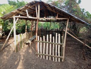 Bamboo Training Centre