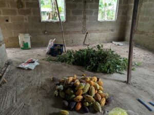 IMG_20250916_124031